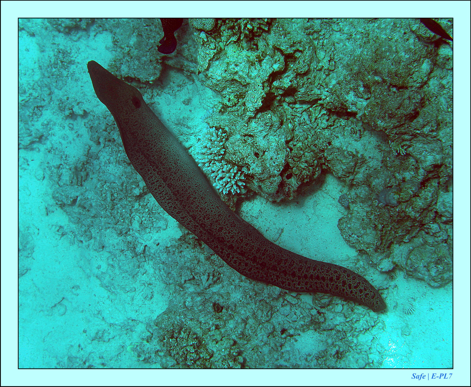 Hurghada - Aout 2021 - 013